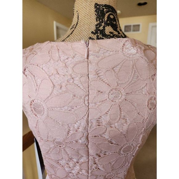 NWT, Chetta B, Pink Lace Dress, Size 6 - Picture 10 of 12